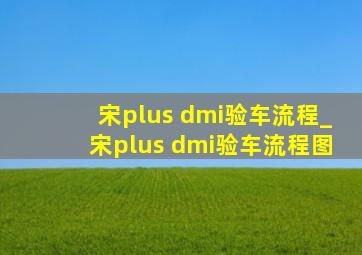 宋plus dmi验车流程_宋plus dmi验车流程图